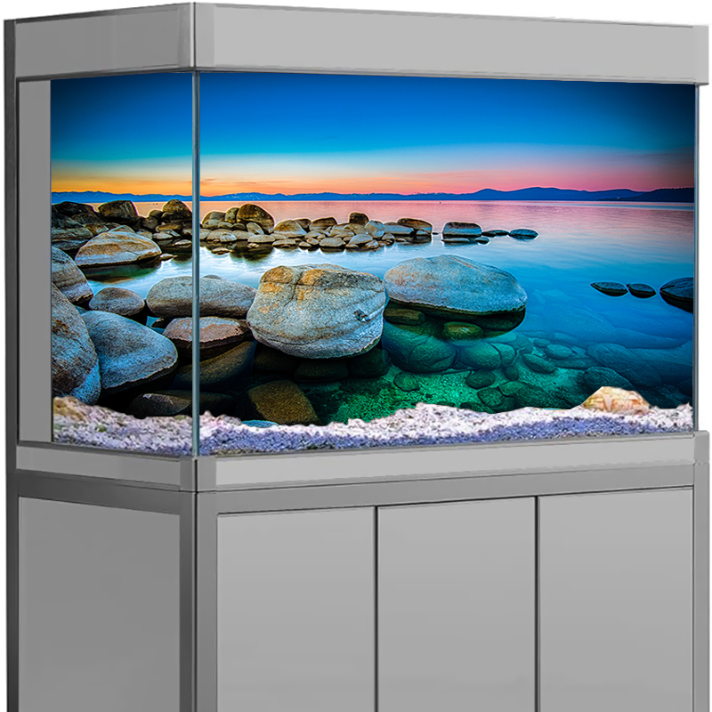 Aquarium Fish Poster - Akvaryum Arka Plan Çıkartması Taş Deniz