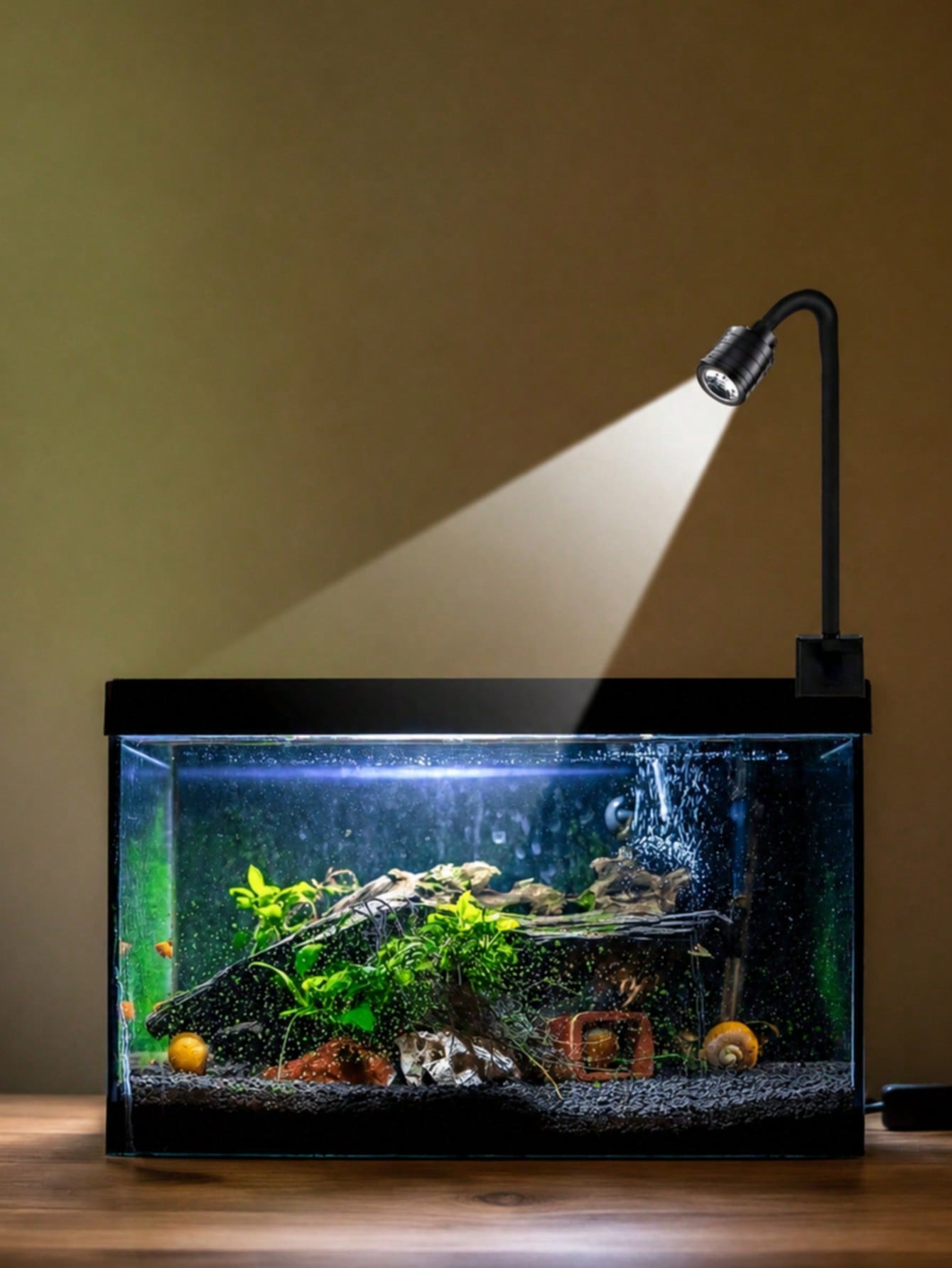 Aquarium Goldfish - USB akvaryum ışıkları, Zoom Güney Amerika