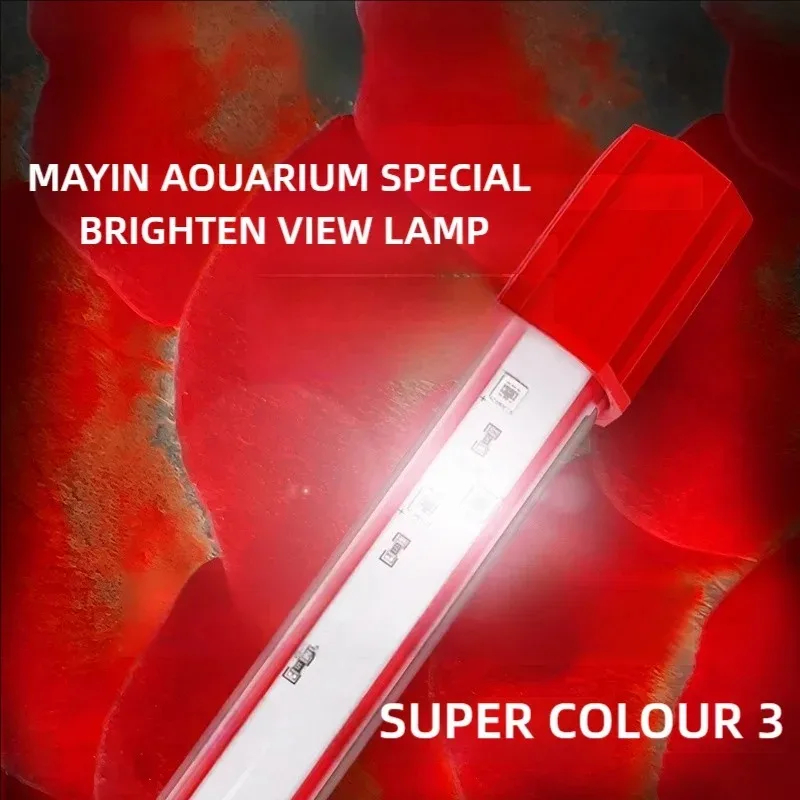 Aquarium Fish Colorful - Mayin Kırmızı Arowana Işık Akvaryumu Özel