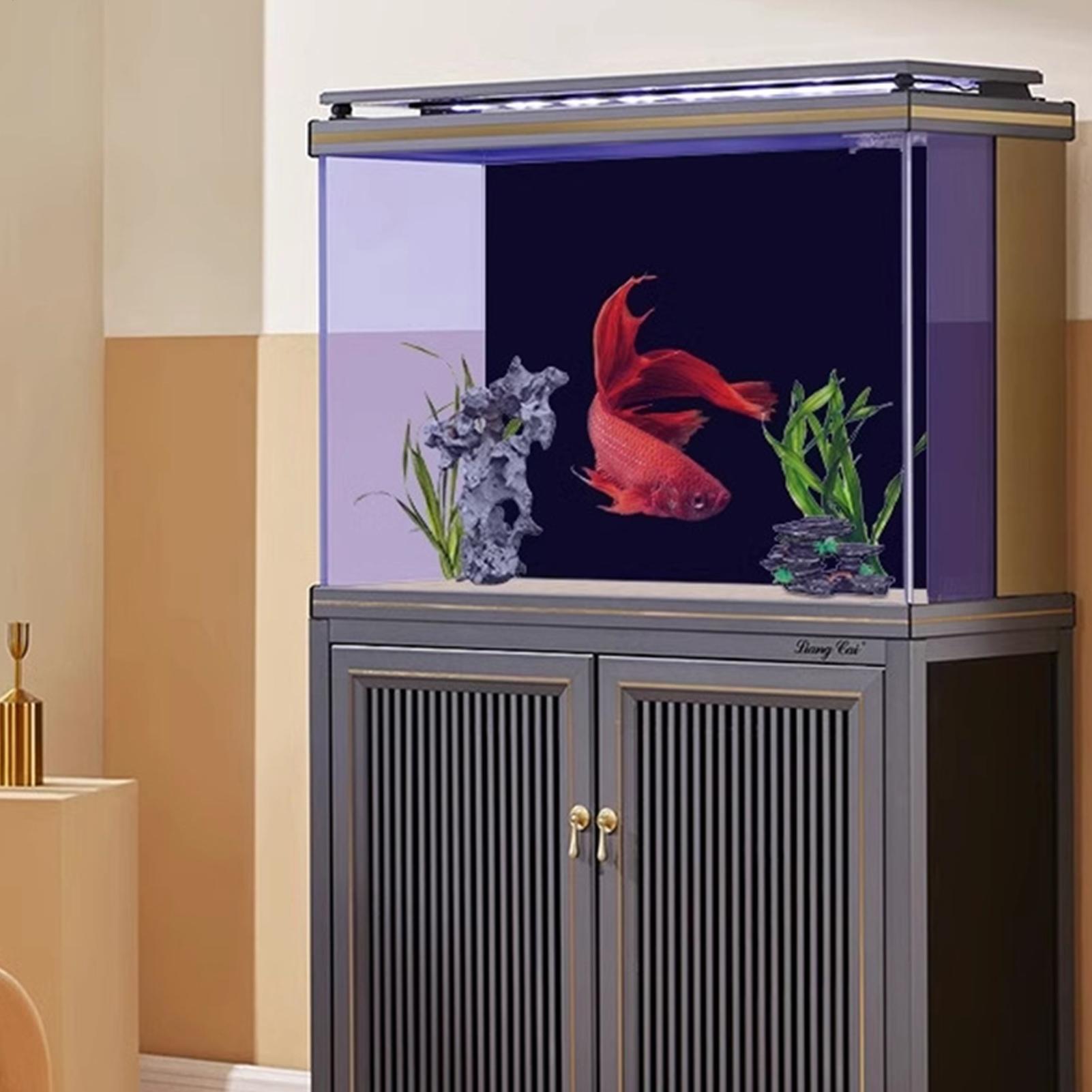 Fish In Aquarium Picture - PVC Akvaryum Arka Planı Çıkarılabilir Dekorasyonlar