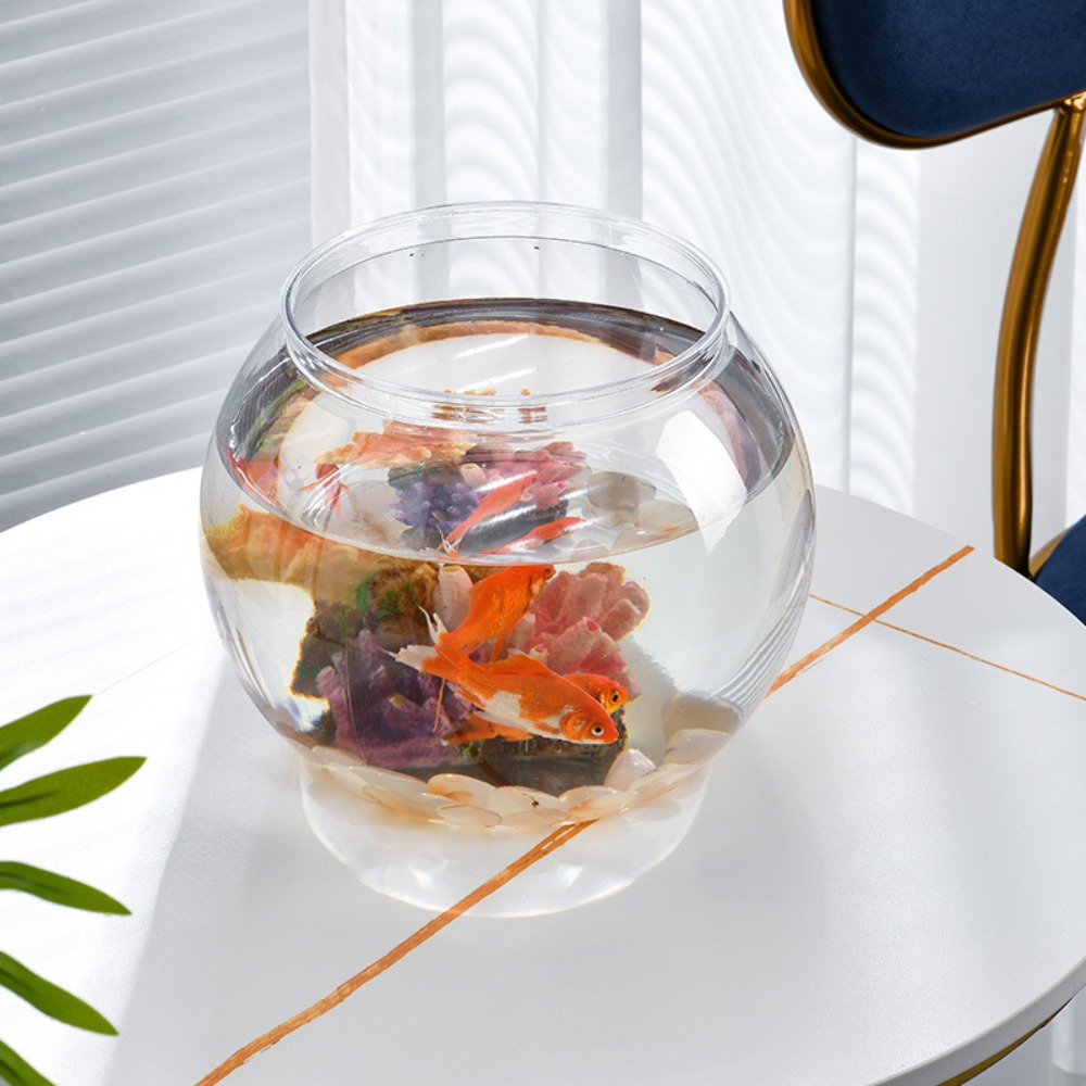 Ev Dekoru Şeffaf Yuvarlak Balı - Aquarium Goldfish incelemesi ve fiyatı