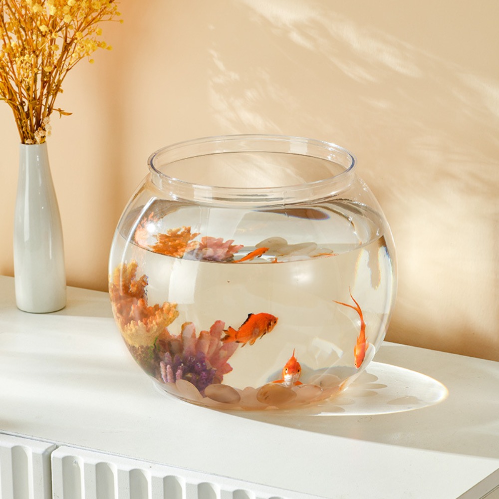 Ev Dekoru Şeffaf Yuvarlak Balı - Aquarium Goldfish incelemesi ve fiyatı