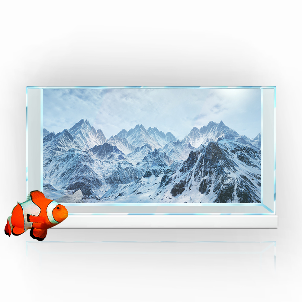 Akvaryum arka plan Sticker, so - Aquarium Fish Poster incelemesi ve fiyatı