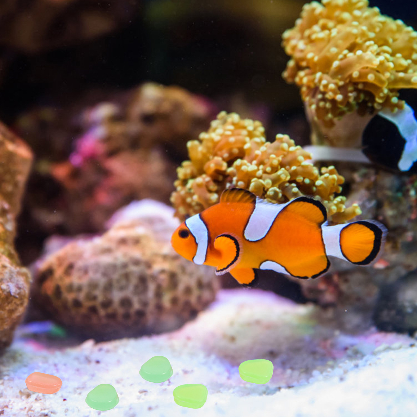 400 Adet Karanlıkta Parlayan T - Aquarium Fish That Glow In The Dark incelemesi ve fiyatı