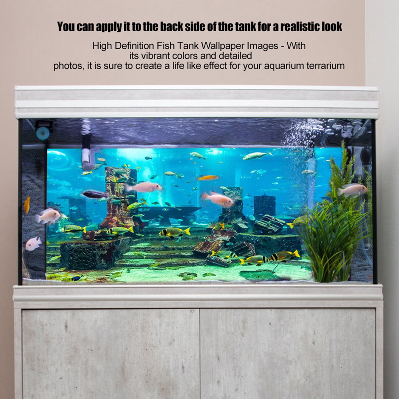 ZK20 Mercan Akvaryum Arka Plan - Aquarium Fish Poster incelemesi ve fiyatı