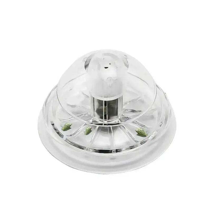 2026 Yeni 6/8CM Şeffaf Plastik - Aquarium Fish Care incelemesi ve fiyatı