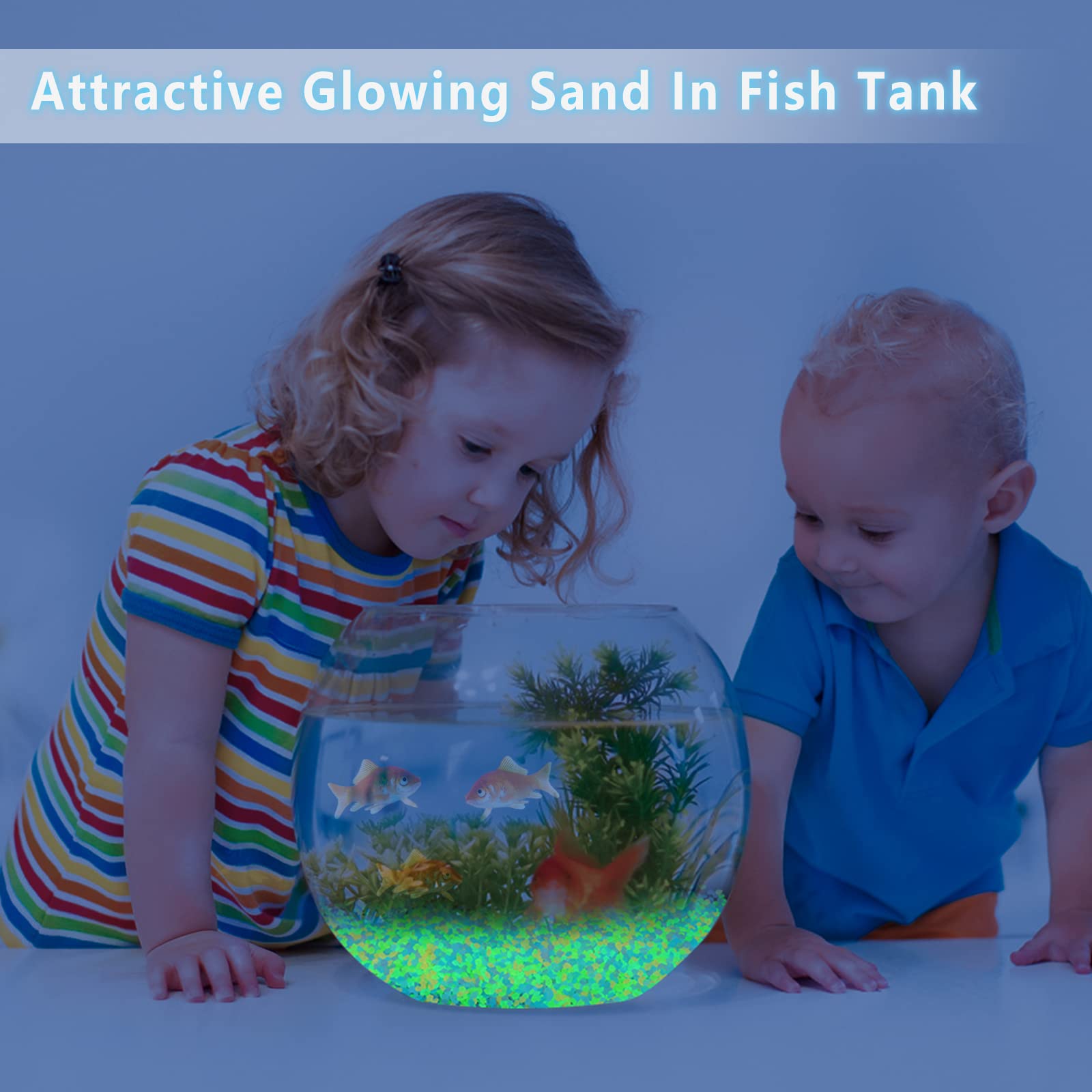 1000 Adet Işıklı Kum Karanlıkt - Aquarium Fish That Glow In The Dark incelemesi ve fiyatı