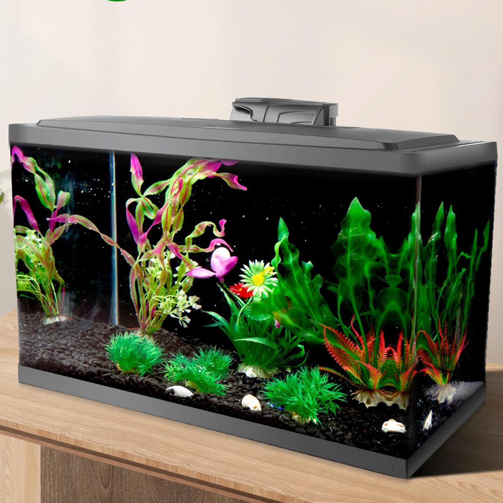 Siyah Akvaryum Arka Planı Stat - Aquarium Fish Poster incelemesi ve fiyatı