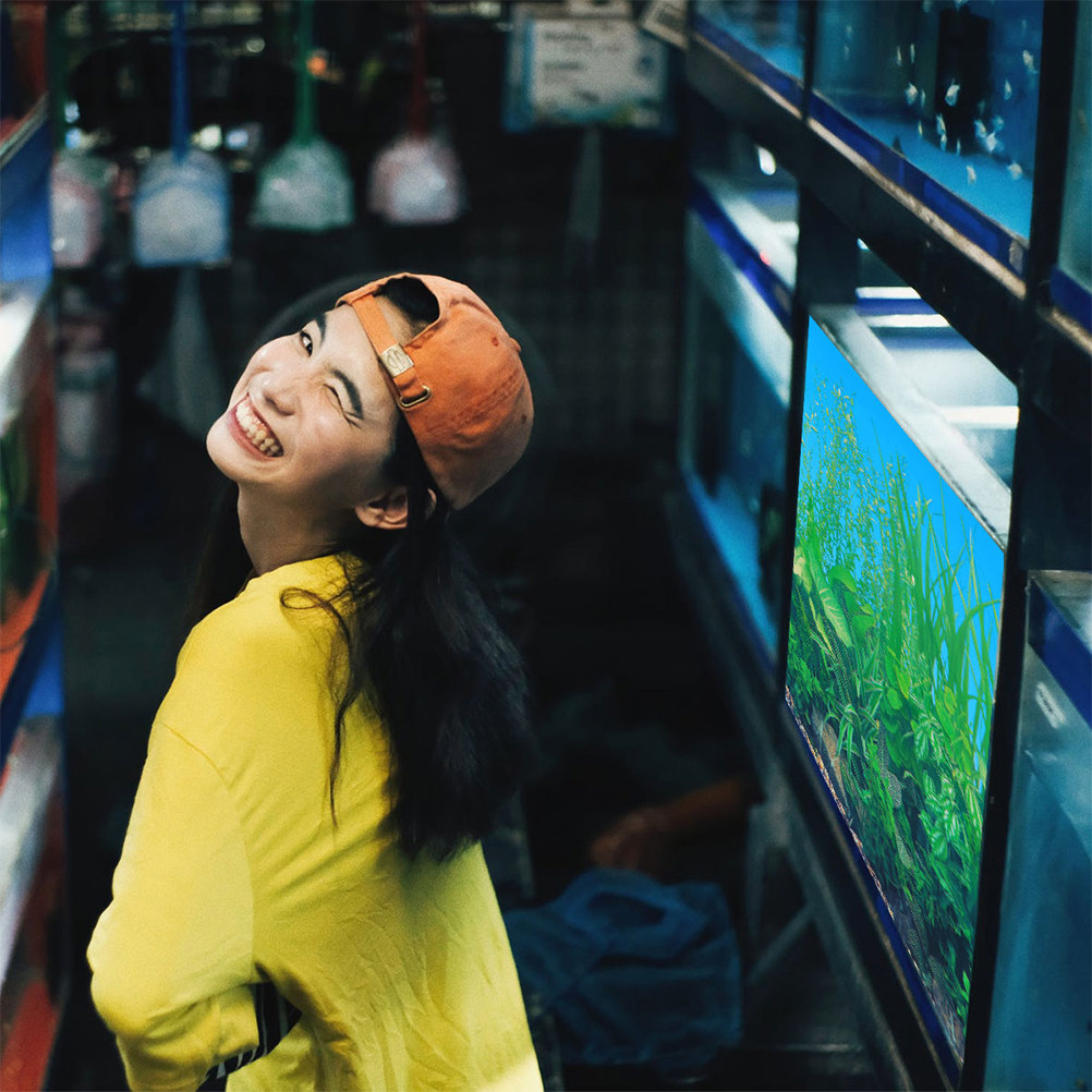 Balık Tankı Arka Plan Kağıdı K - Aquarium Fish Poster incelemesi ve fiyatı