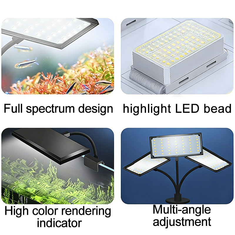 Akvaryum Balık Tankı Tam Spekt - Aquarium Fish Colorful incelemesi ve fiyatı