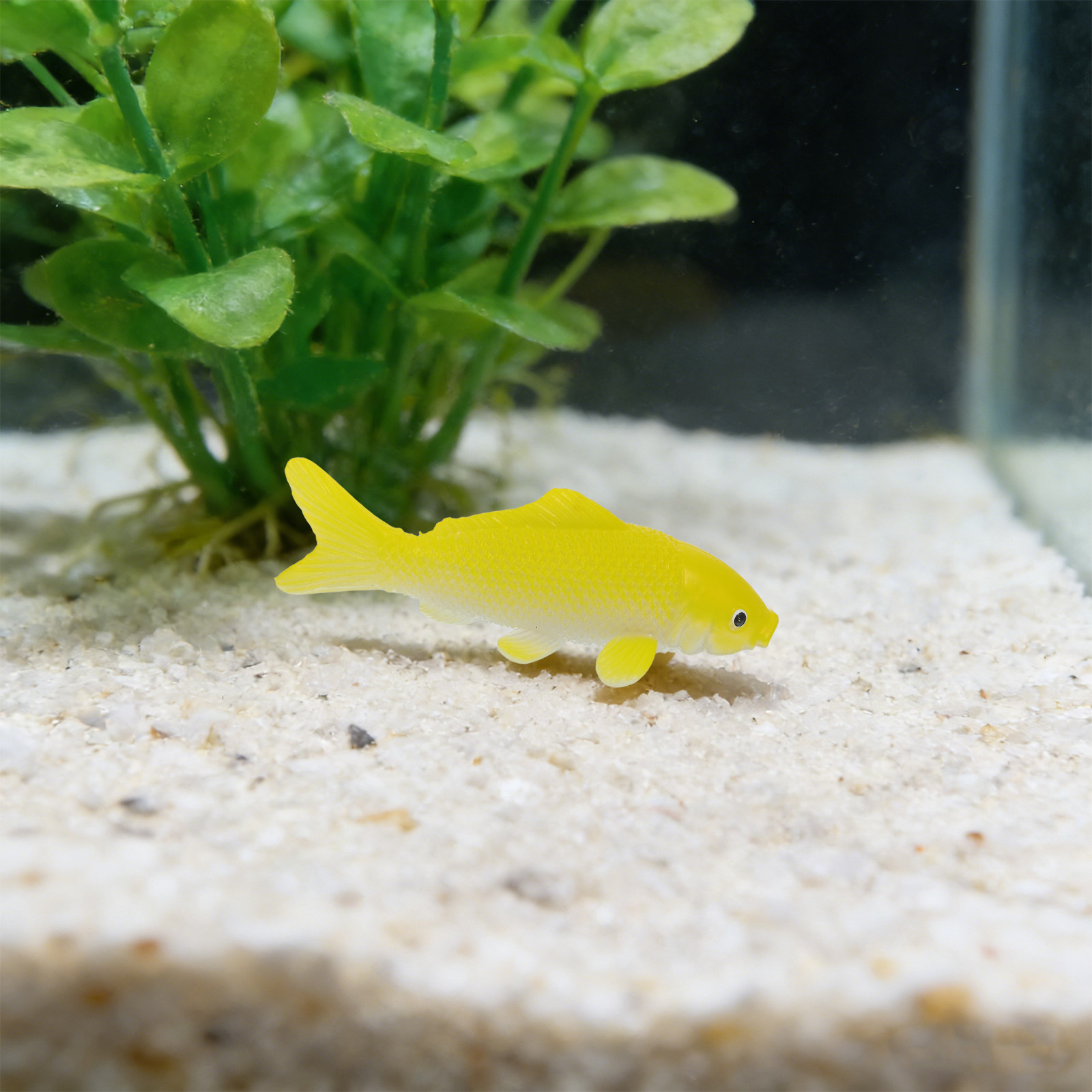 3 adet Balık El Sanatları Oyun - Aquarium Goldfish incelemesi ve fiyatı