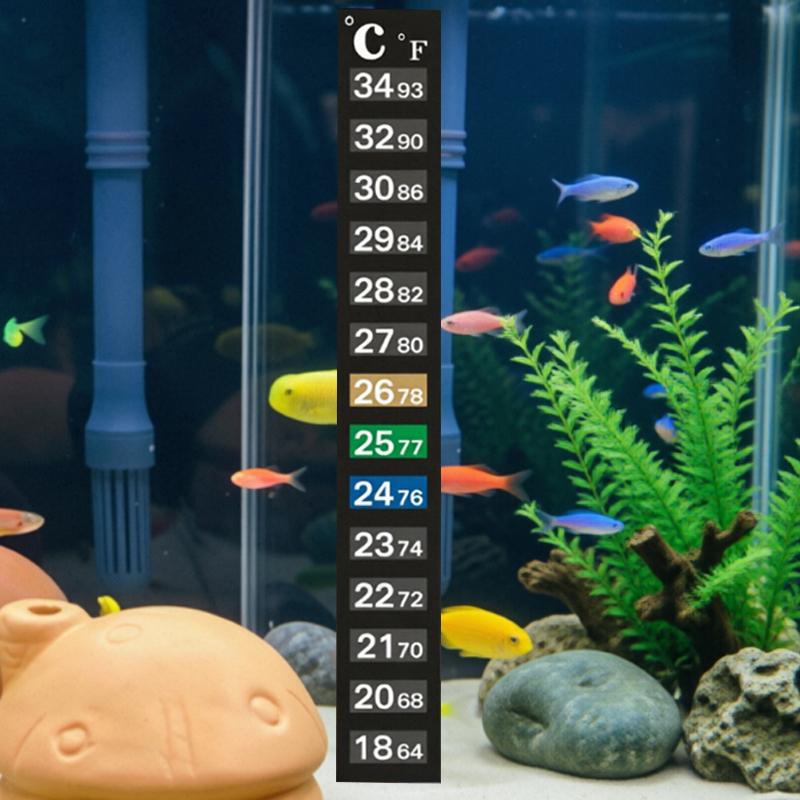 1/5 Adet Yüksek Hassasiyetli A - Aquarium Fish Colorful incelemesi ve fiyatı