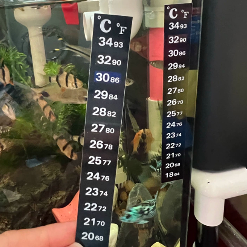 1/5 Adet Yüksek Hassasiyetli A - Aquarium Fish Colorful incelemesi ve fiyatı