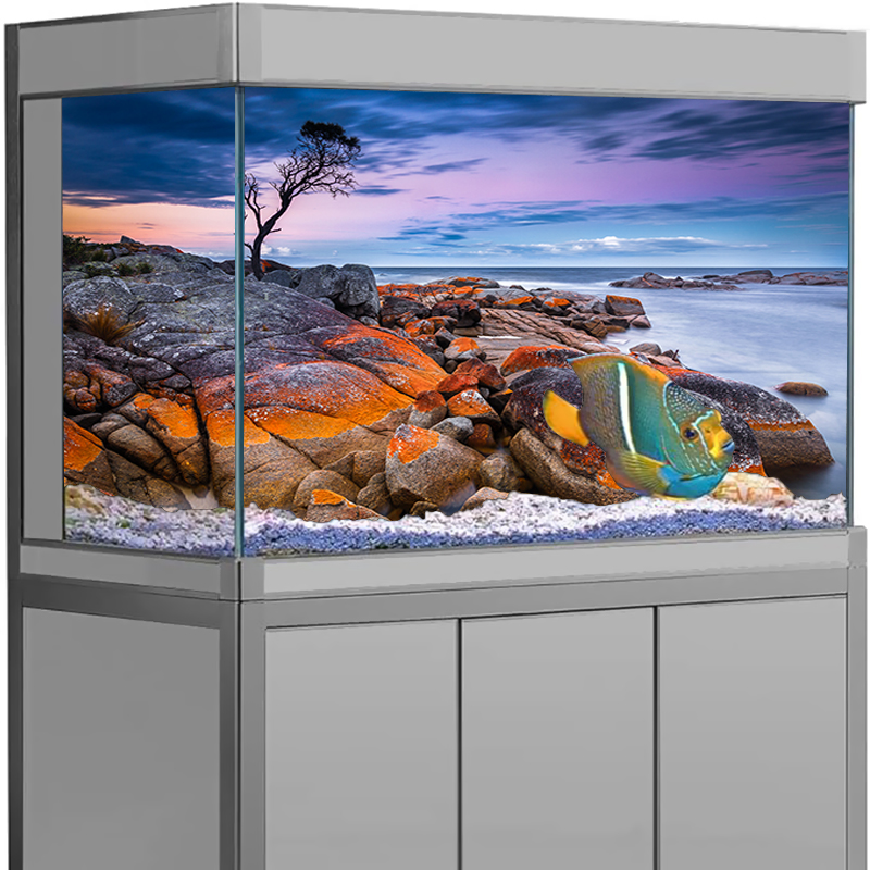Akvaryum Arka Plan Çıkartması  - Aquarium Fish Poster incelemesi ve fiyatı
