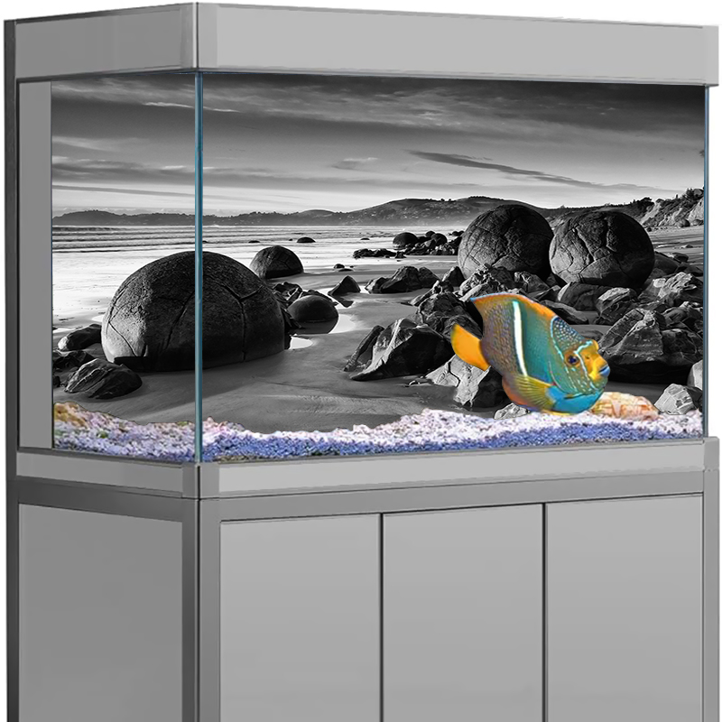 Akvaryum Arka Plan Çıkartması  - Aquarium Fish Poster incelemesi ve fiyatı