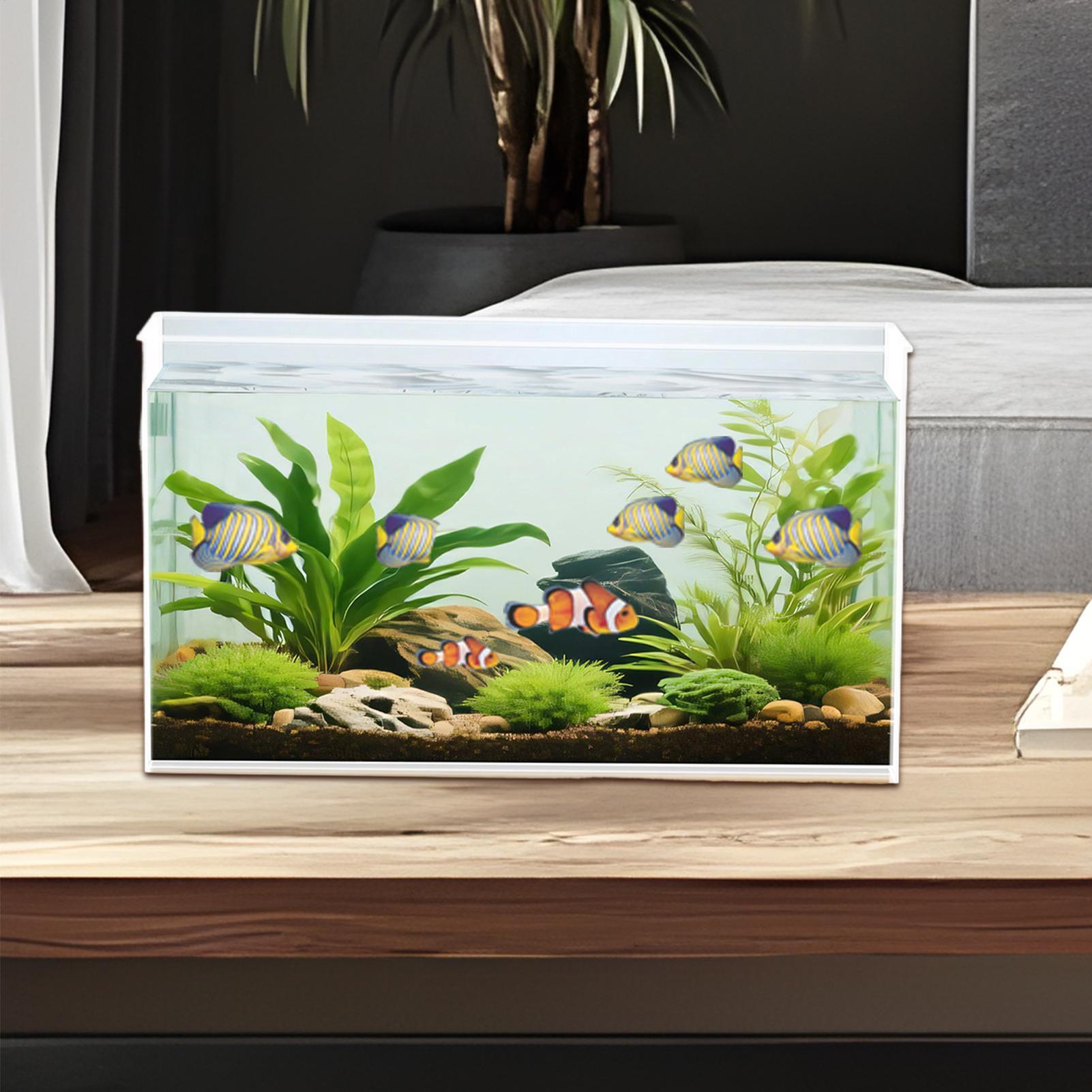 Küçük Balık Tankı Betta Tankı  - Aquarium Goldfish incelemesi ve fiyatı