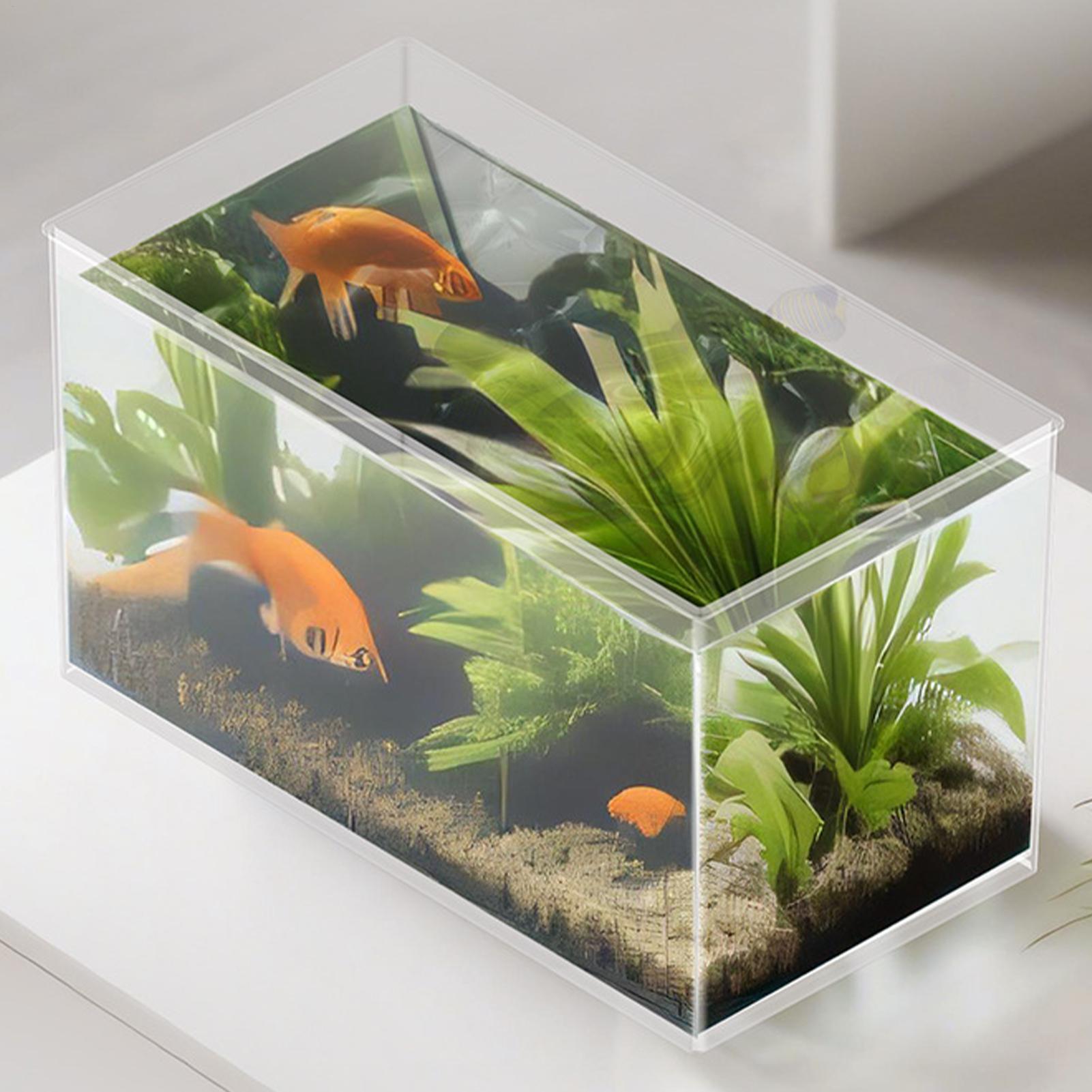 Küçük Balık Tankı Betta Tankı  - Aquarium Goldfish incelemesi ve fiyatı