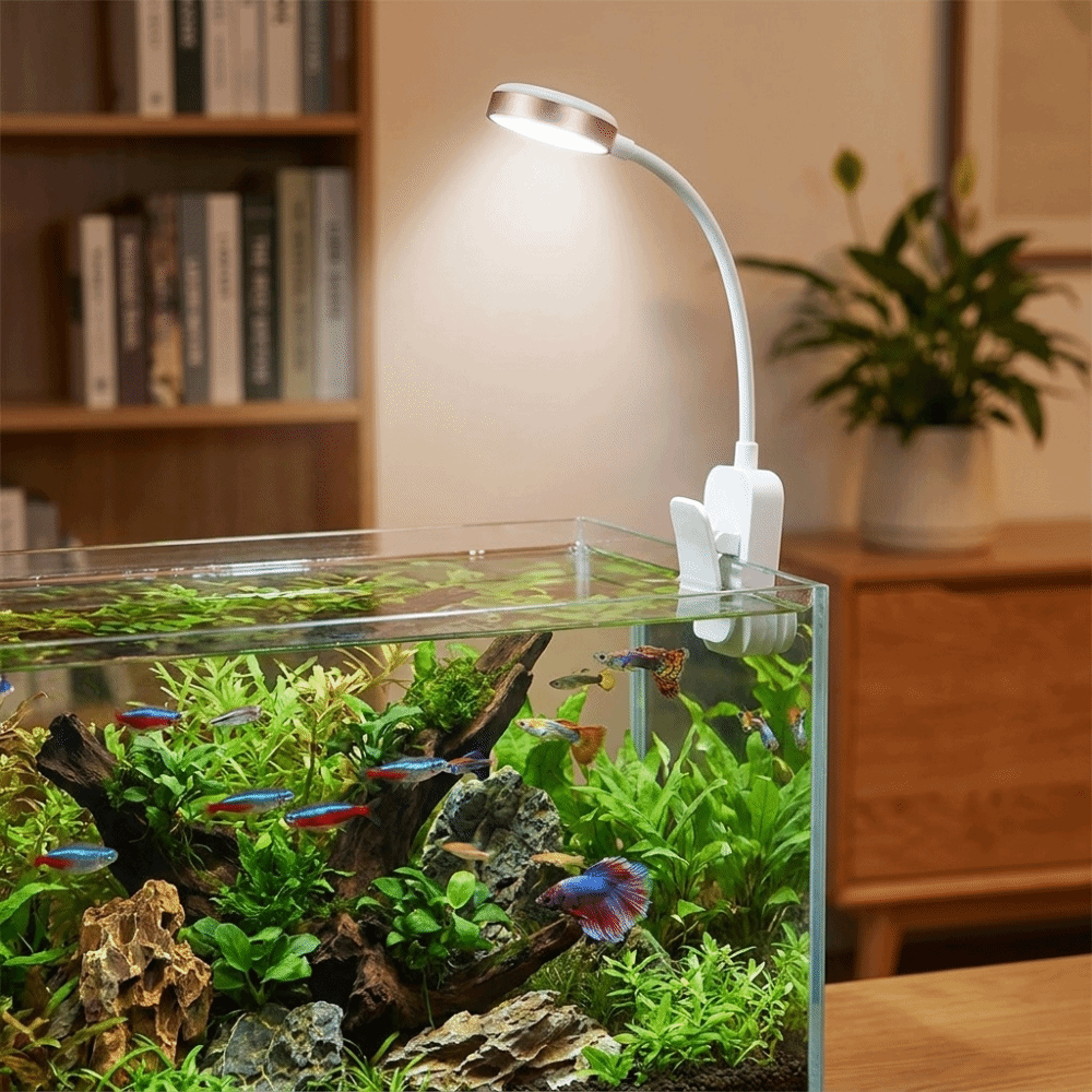 360 °   Döner Balık Tankı Klip - Aquarium Fish Colorful incelemesi ve fiyatı