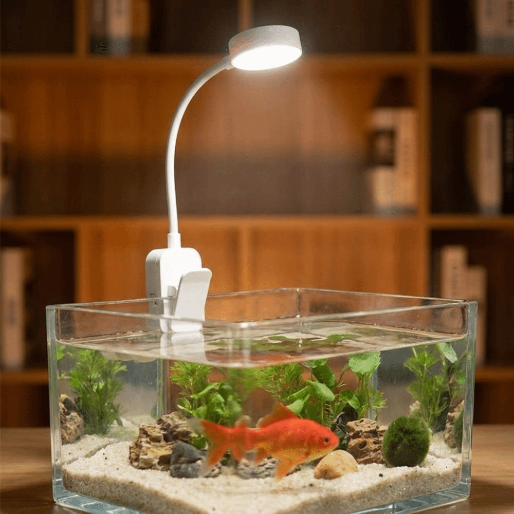 360 °   Döner Balık Tankı Klip - Aquarium Fish Colorful incelemesi ve fiyatı