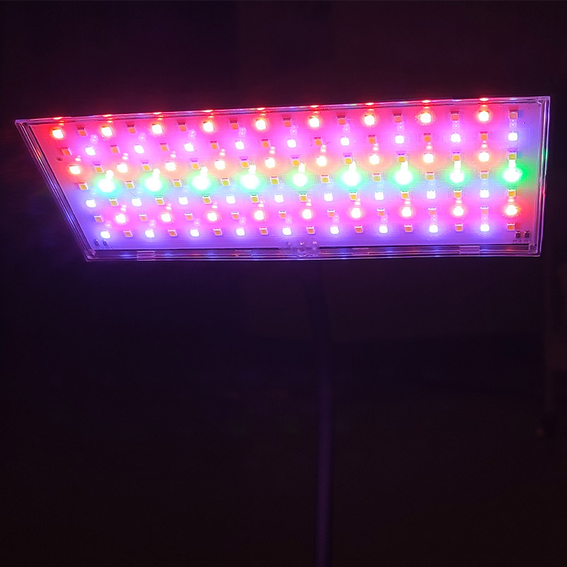 3 Işık Renk Ayarlı Akvaryum La - Aquarium Fish Colorful incelemesi ve fiyatı