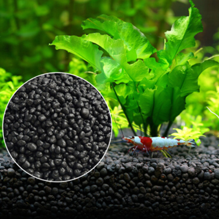 Akvaryum bitki tohumları topra - Aquarium Fish Care incelemesi ve fiyatı