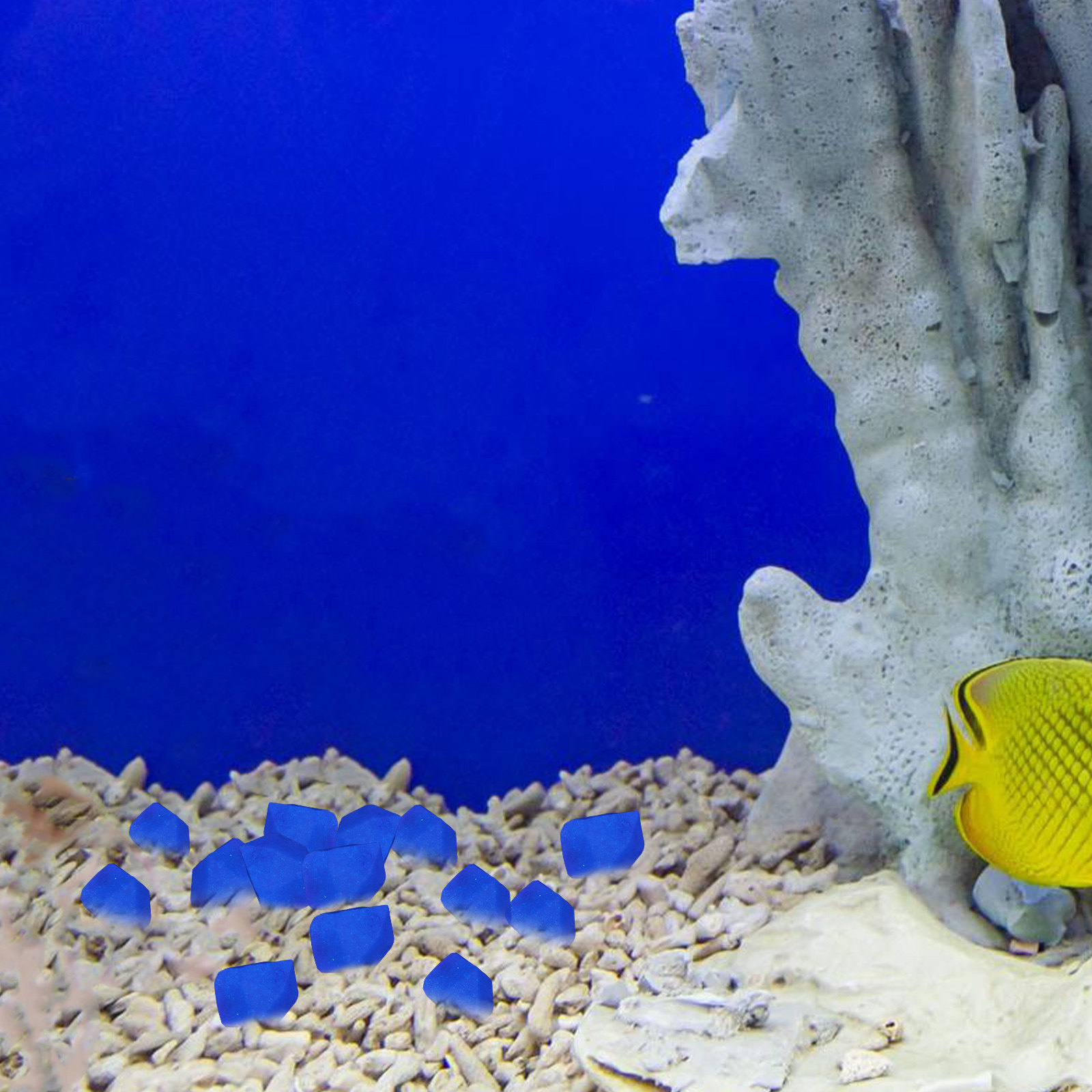 300 Adet Karanlıkta Parlayan M - Aquarium Fish That Glow In The Dark incelemesi ve fiyatı