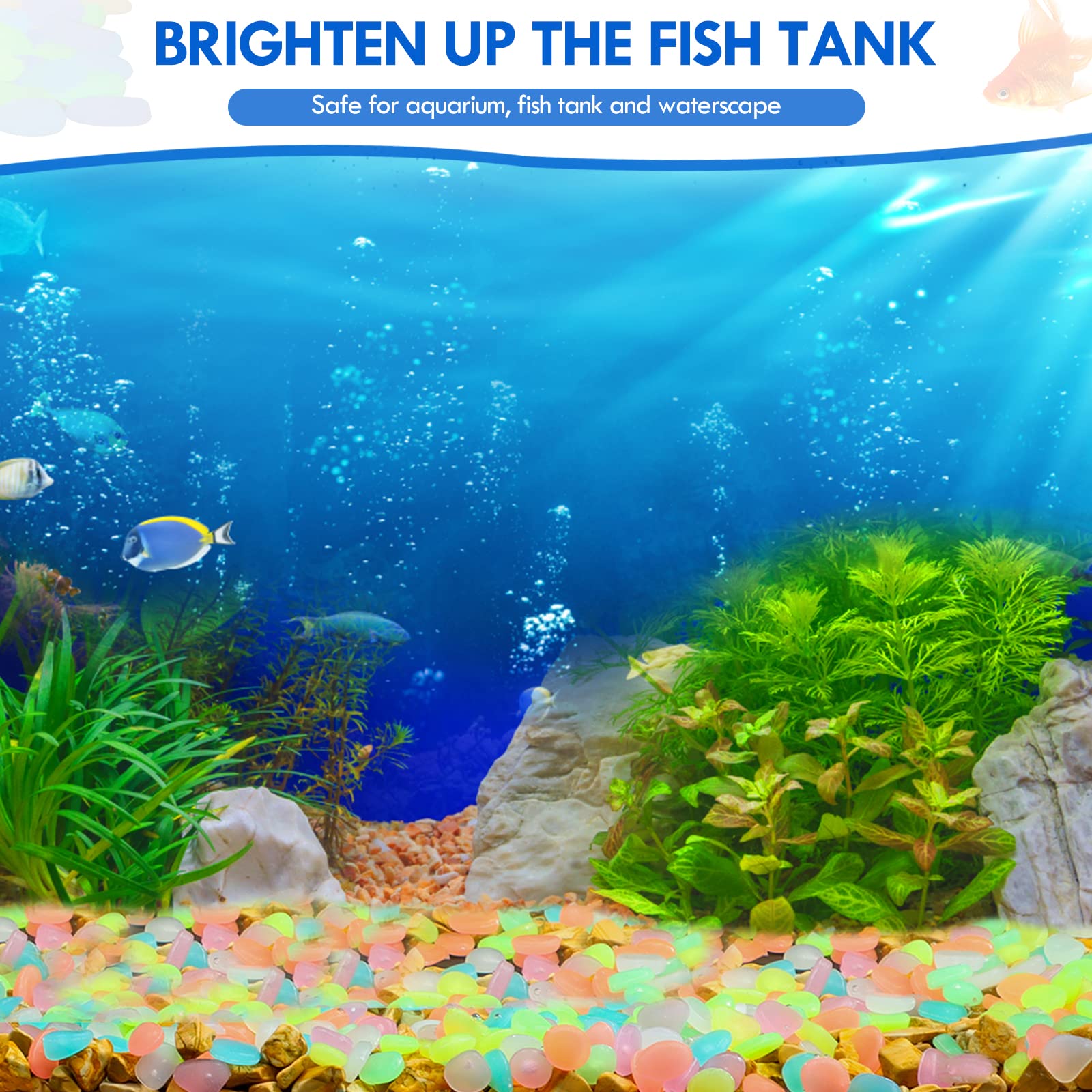 100 Adet Karanlıkta Glow Bahçe - Aquarium Fish That Glow In The Dark incelemesi ve fiyatı