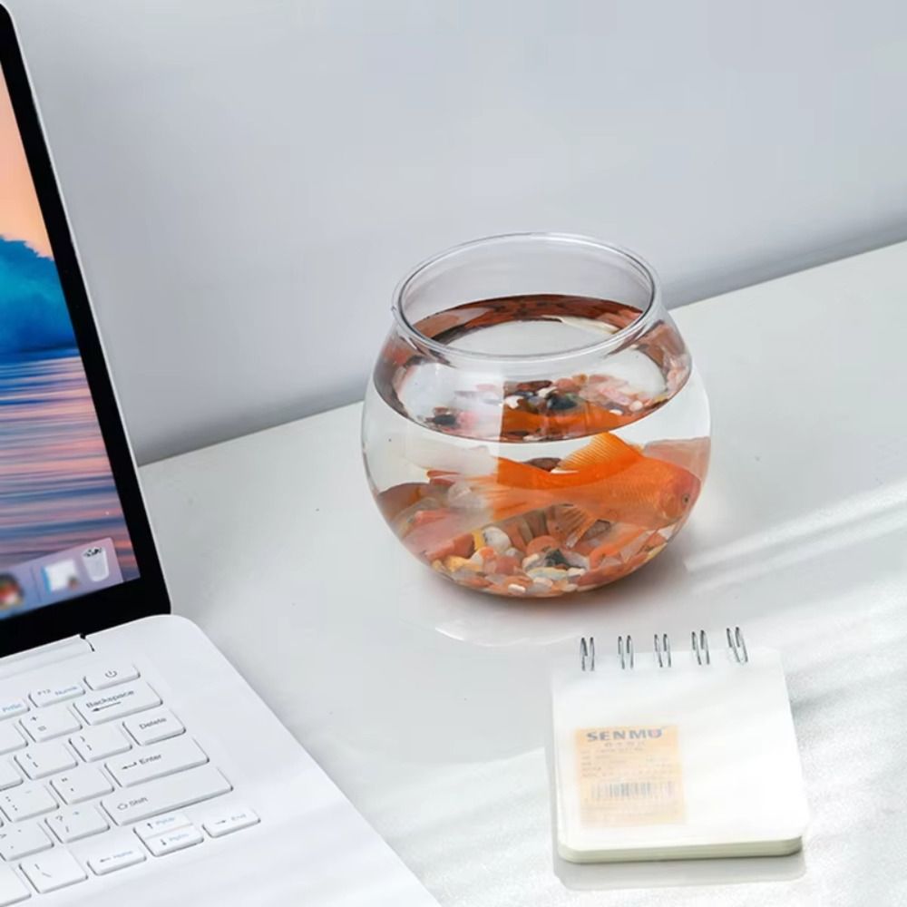 Yeni Şeffaf Balık Tankı Yuvarl - Aquarium Goldfish incelemesi ve fiyatı