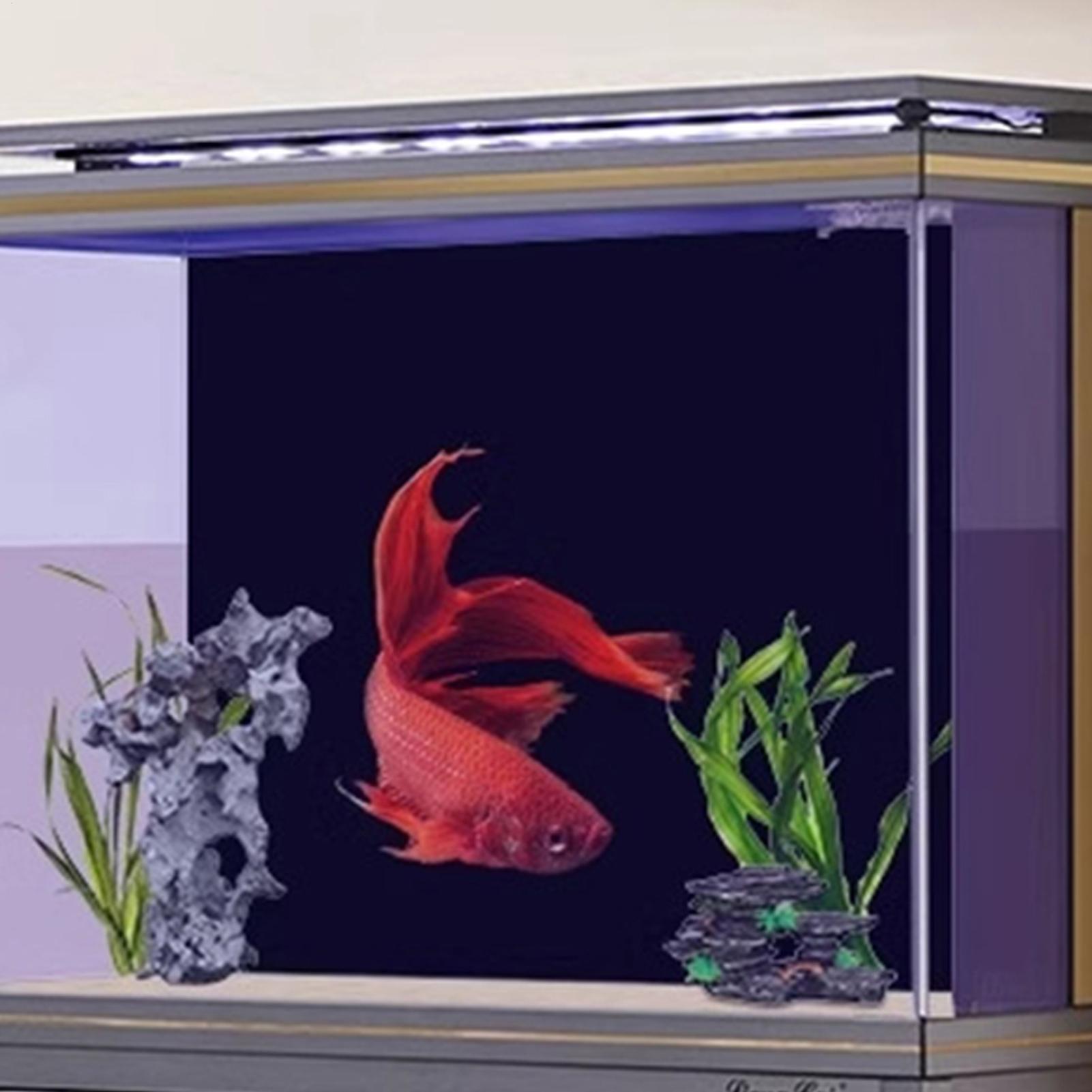 PVC Akvaryum Arka Planı Çıkarı - Fish In Aquarium Picture incelemesi ve fiyatı