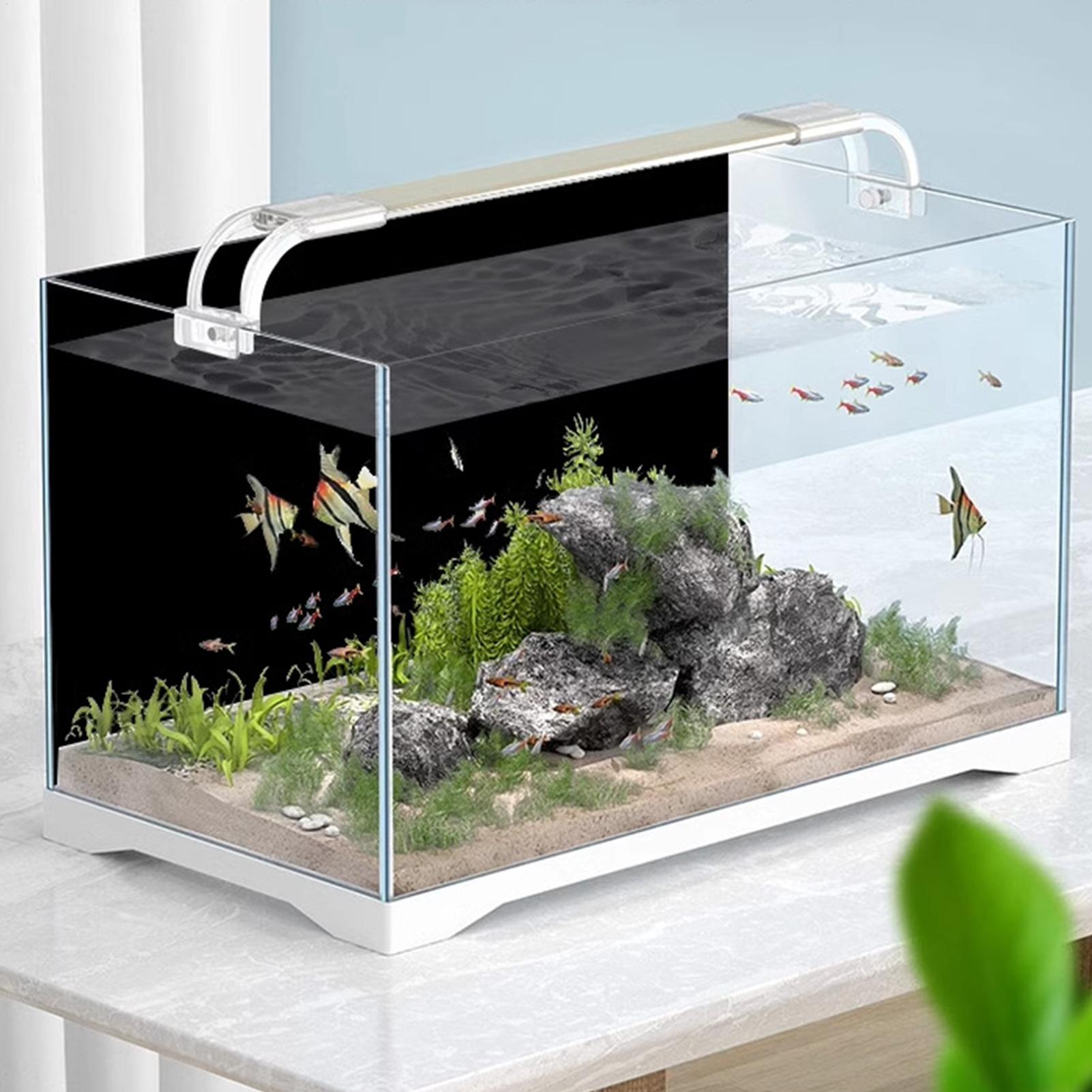PVC Akvaryum Arka Planı Çıkarı - Fish In Aquarium Picture incelemesi ve fiyatı