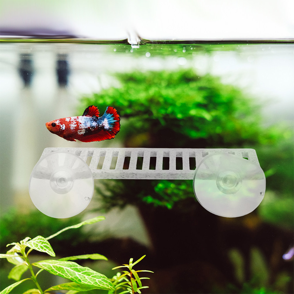 2 Adet Balık Dinlenme Yatağı 3 - Aquarium Fish Unique incelemesi ve fiyatı