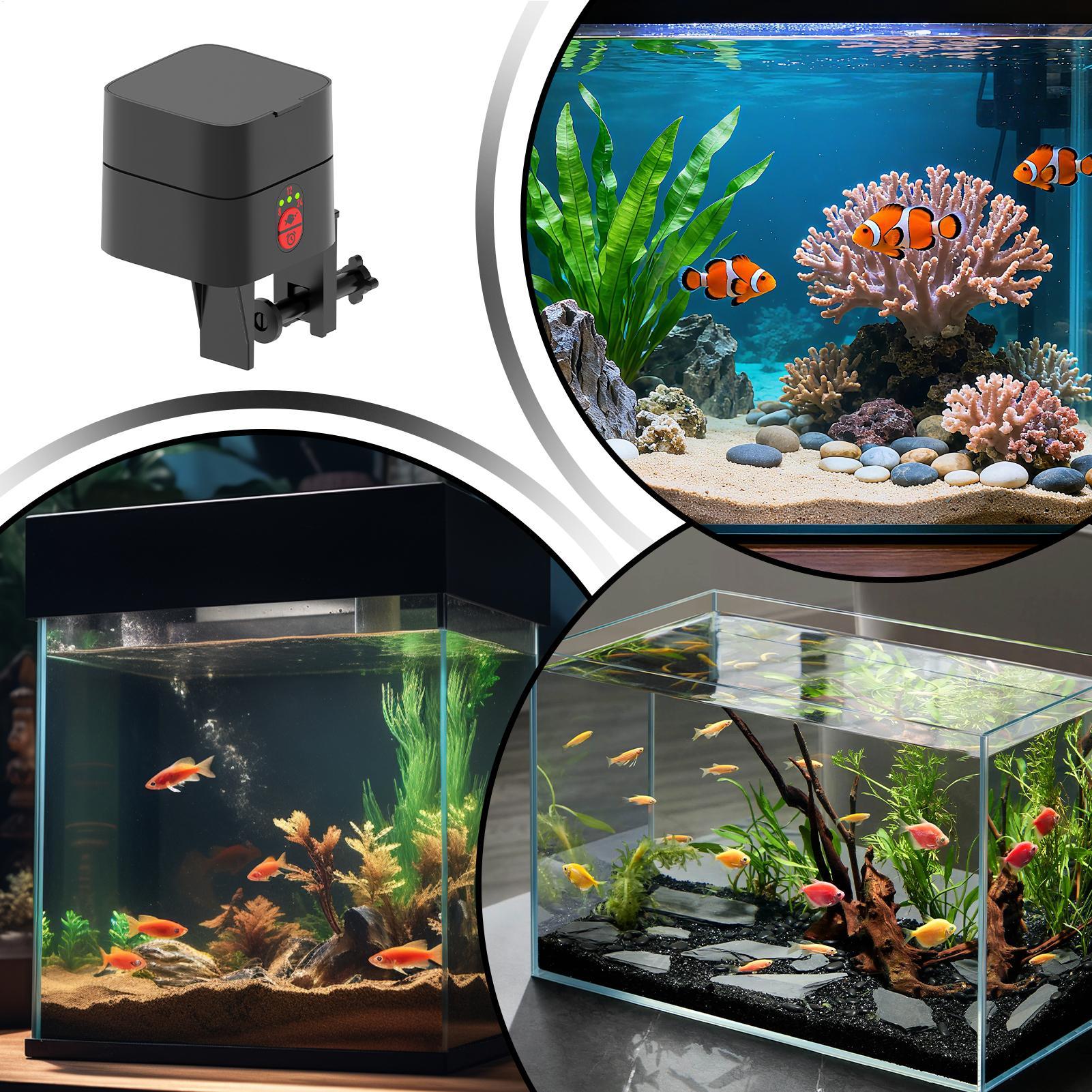 Akvaryum için Otomatik Balık B - Aquarium Fish Feeder Automatic incelemesi ve fiyatı