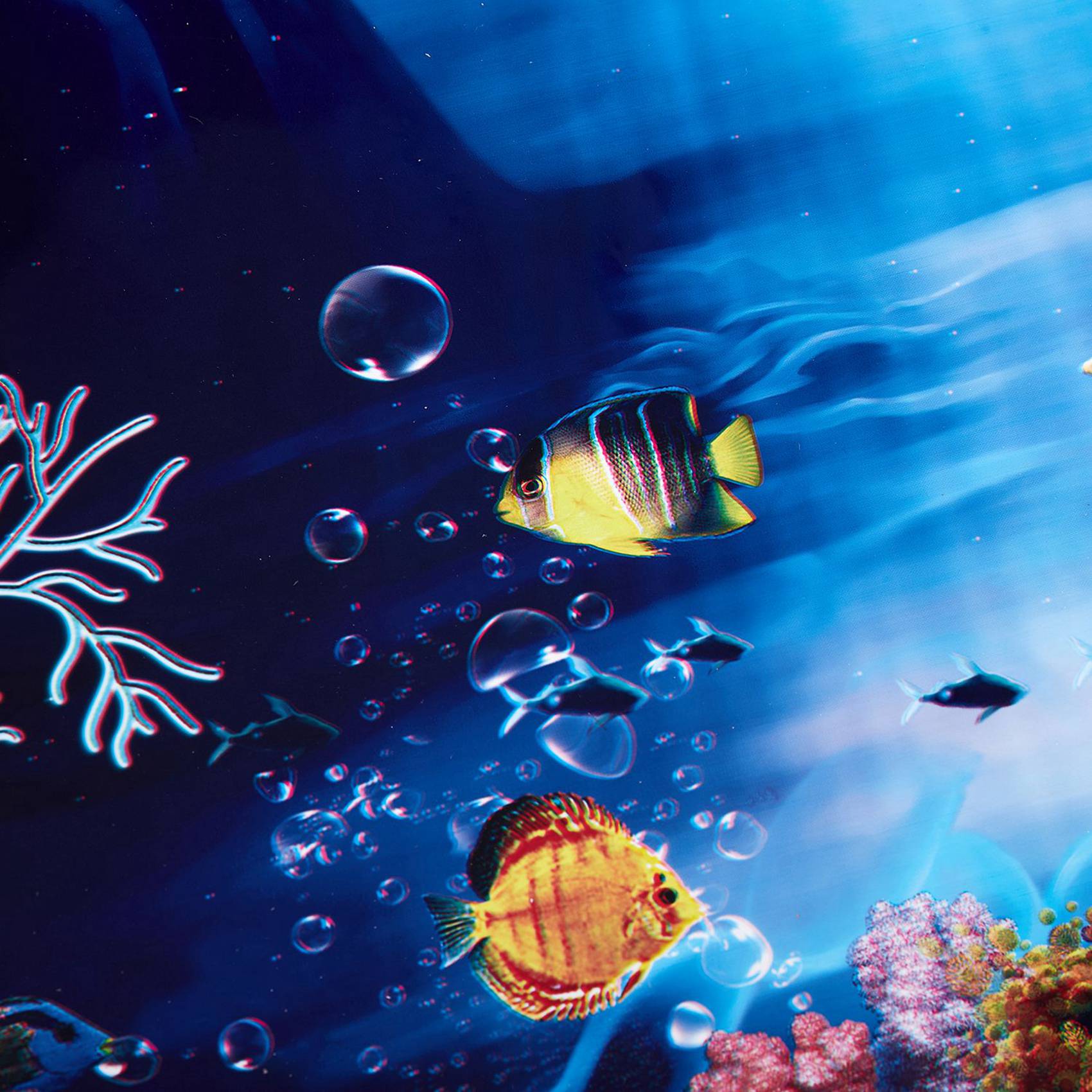 2X Mavi Taze Deniz Arka Planı  - Aquarium Fish Poster incelemesi ve fiyatı