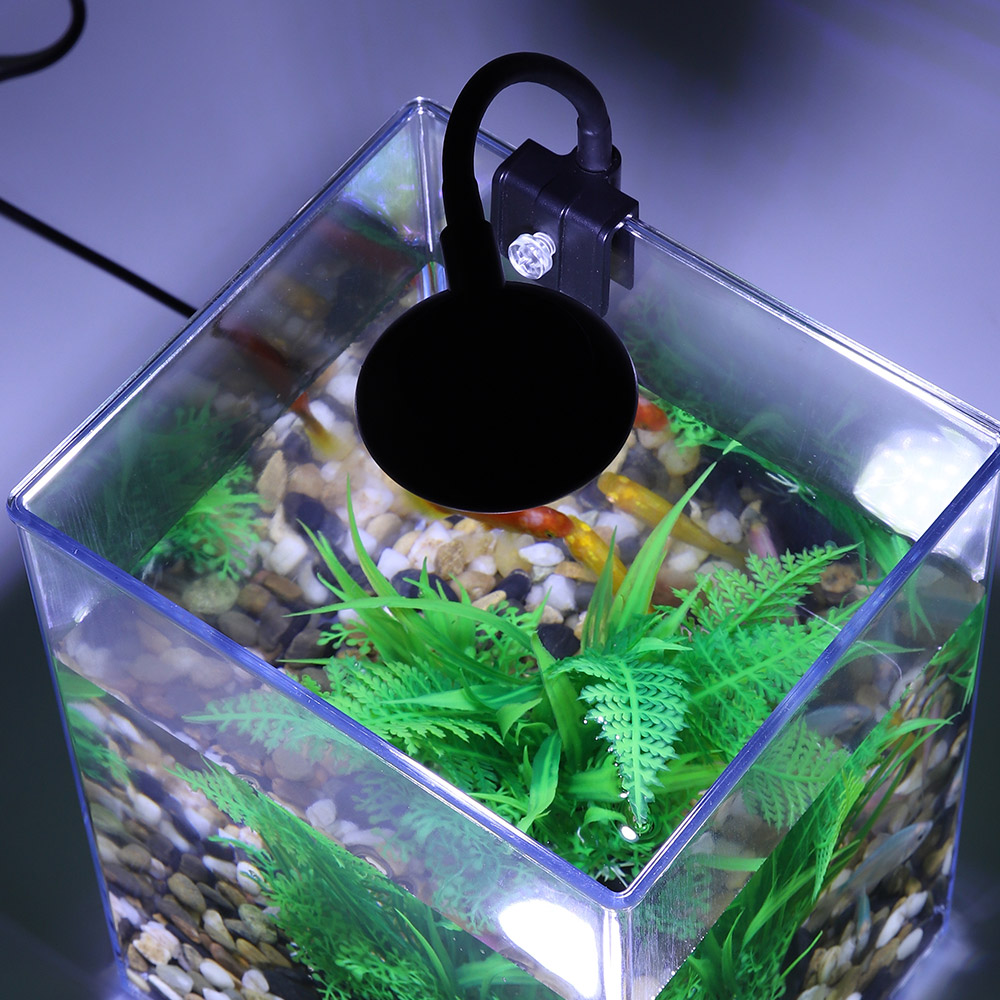 USB masaüstü balık tankı seti- - Aquarium Goldfish incelemesi ve fiyatı