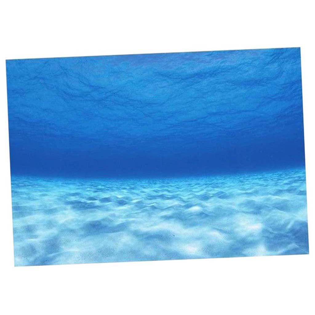 Balık Tankı Arka Planı 3D Resi - Fish In Aquarium Picture incelemesi ve fiyatı